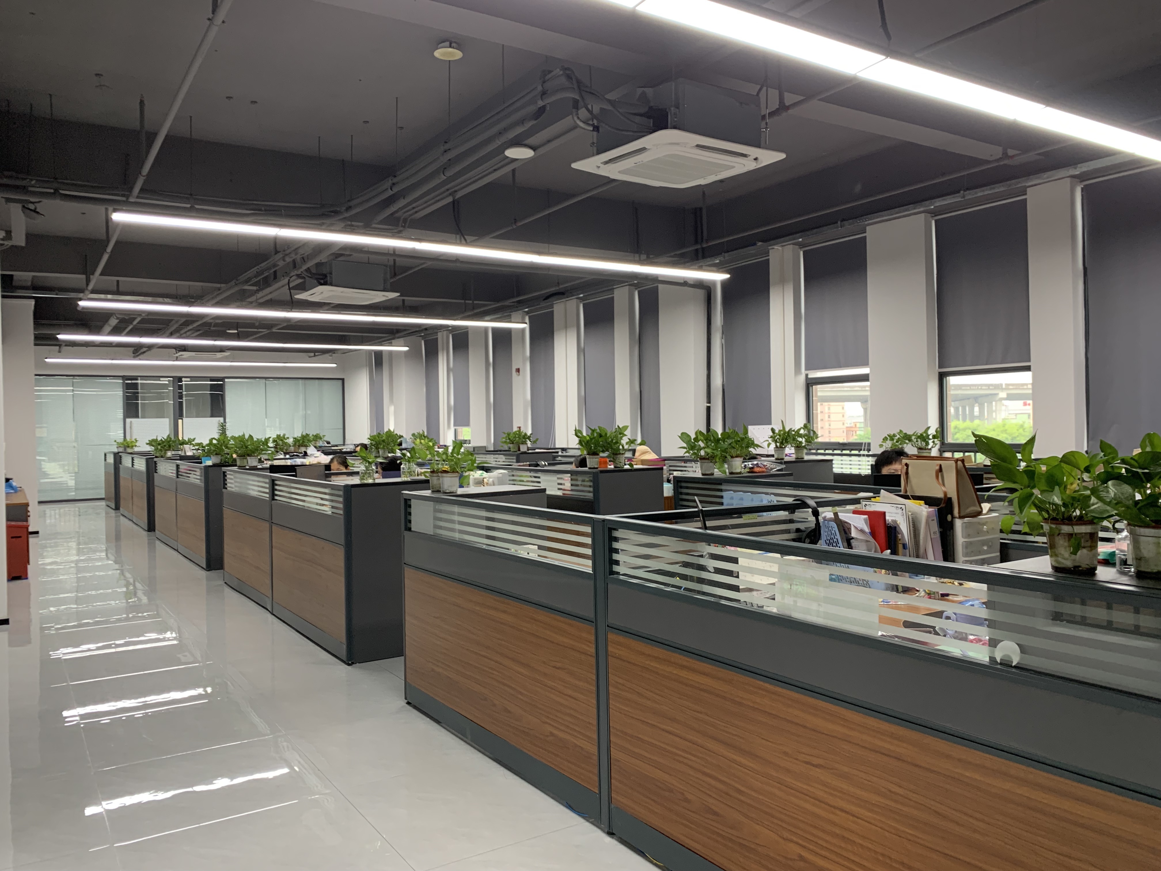 Cina RICHSTAR (SHENZHEN) LIMITED Profil Perusahaan